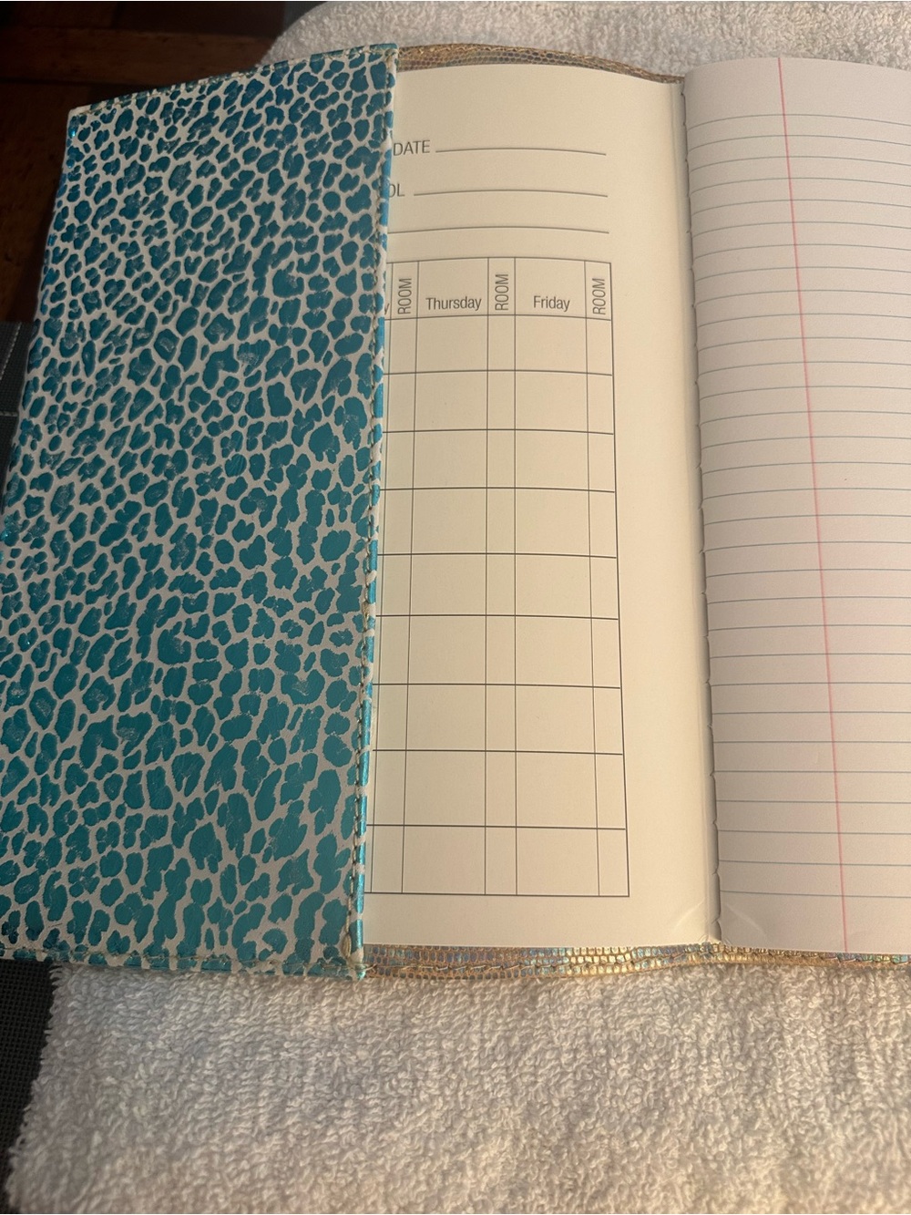 Consuela (Gloria) Textured Iridescent Composition Notebook - Picture 4 of 5
